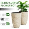 Flower Pot - Customized - Irregular Texture